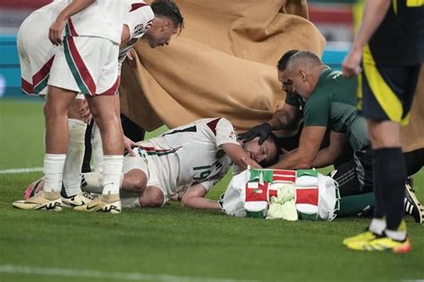 verga twitter|Hungary forward Barnabás Varga in stable condition after serious .